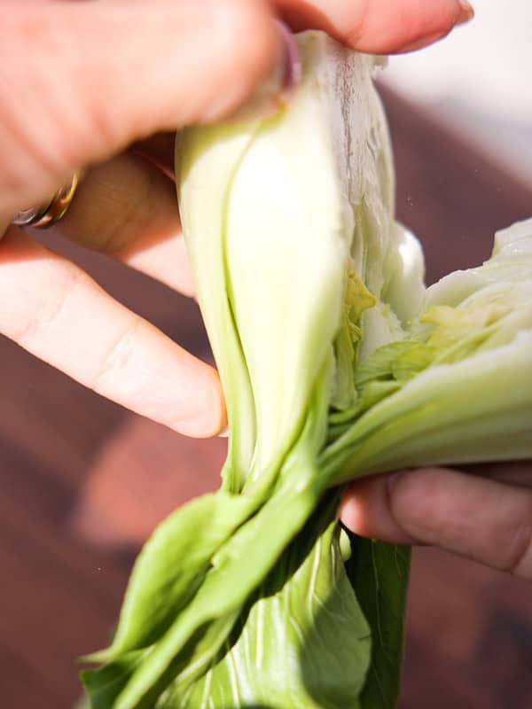 BEST Baby Bok Choy Kimchi Recipe - Easy & Delicious 18 A hand holds and separates the leaves of fresh bok choy, revealing its light green and white inner stalks, ideal for preparing bok choy kimchi, with a wooden surface in the background.