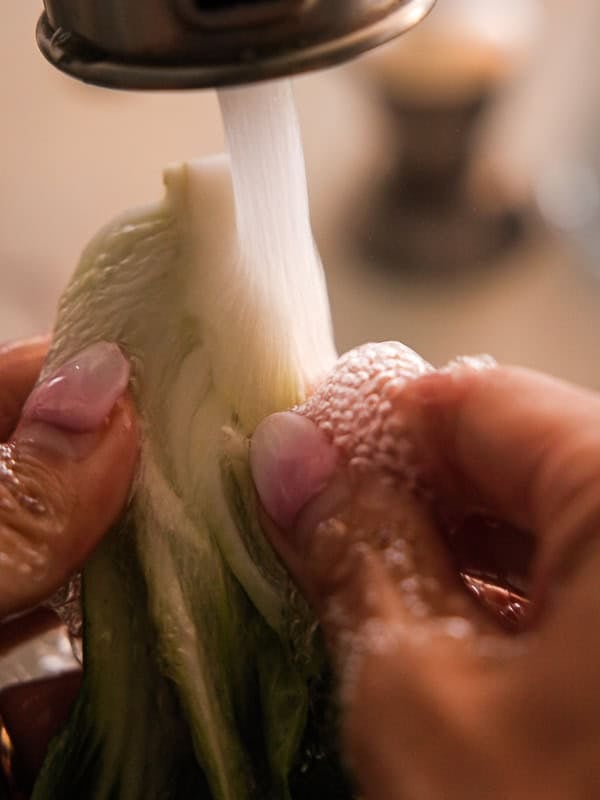 BEST Baby Bok Choy Kimchi Recipe - Easy & Delicious 20 Hands with manicured nails are washing bok choy under running water from a faucet, preparing it for kimchi, with water droplets visible on the vegetable and fingers.