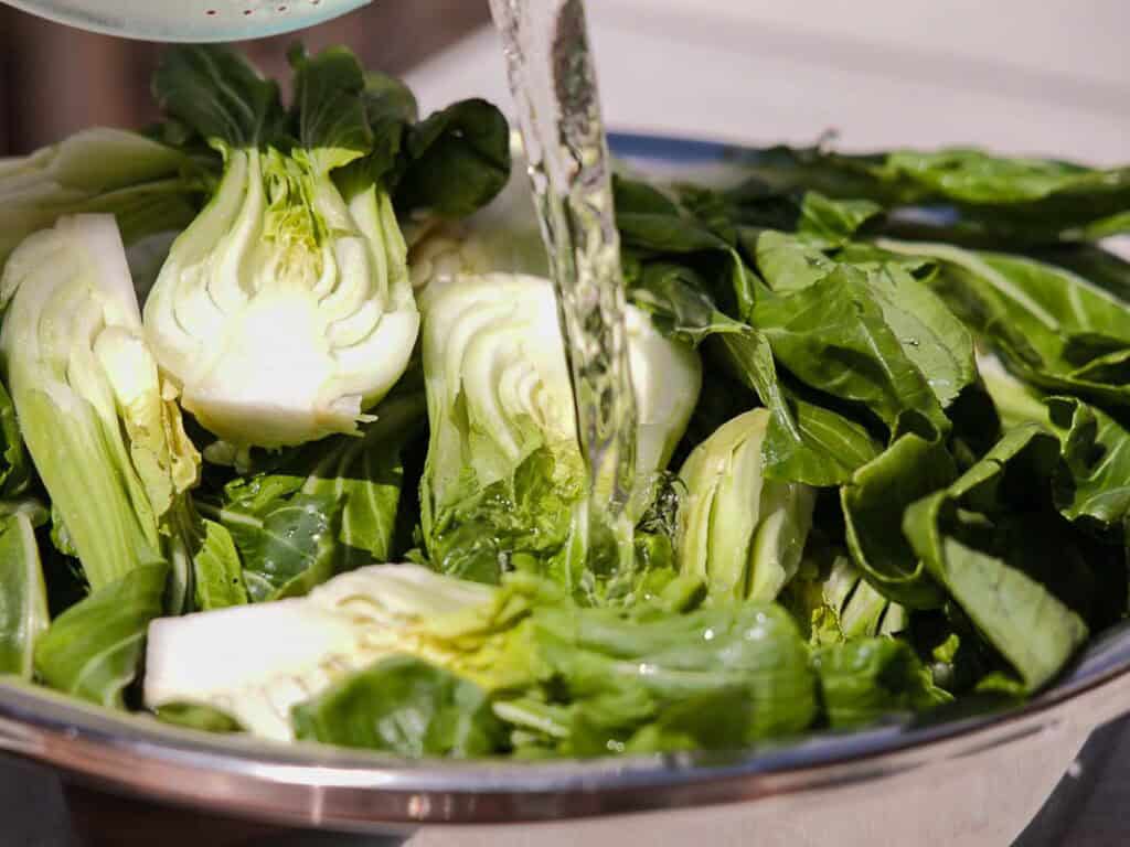 BEST Baby Bok Choy Kimchi Recipe - Easy & Delicious 24 Water being poured over fresh bok choy halves in a metal bowl, washing the leafy green vegetables under sunlightโperfectly preparing them for vibrant homemade bok choy kimchi.