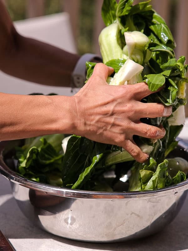 BEST Baby Bok Choy Kimchi Recipe - Easy & Delicious 26 A personโs hands are mixing or washing fresh green bok choy in a large stainless steel bowl, preparing it for bok choy kimchi.