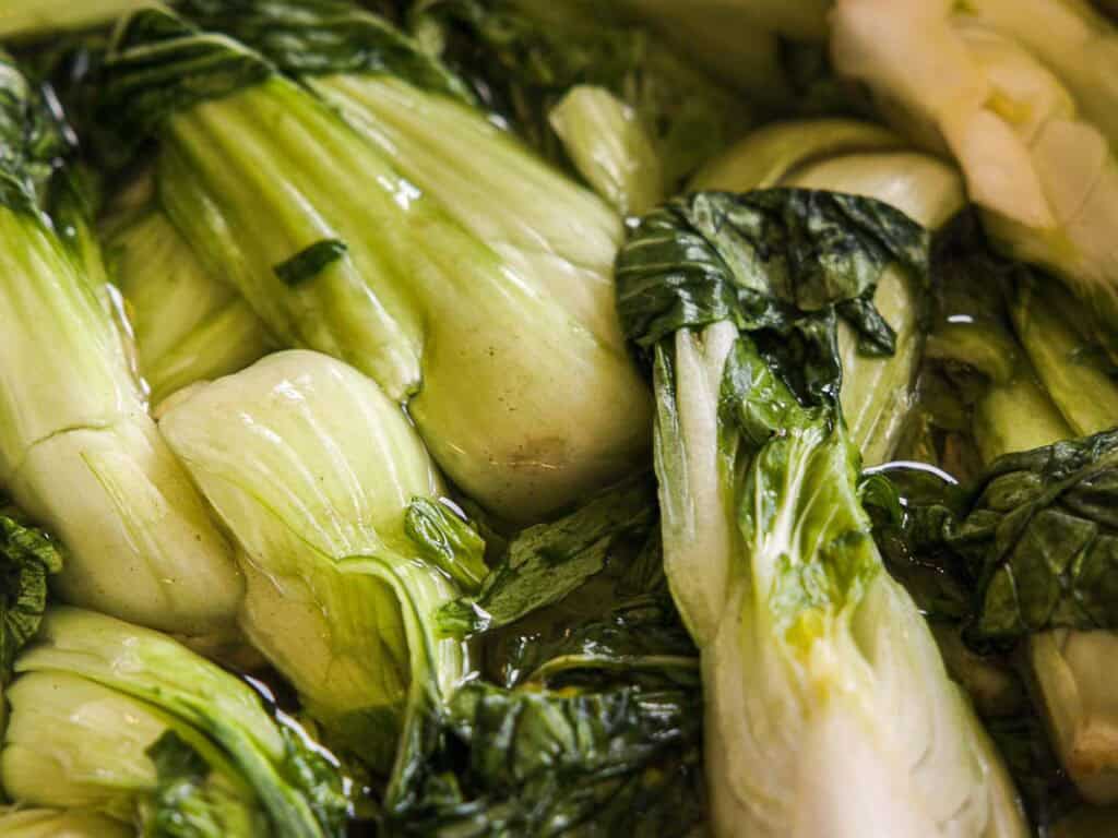 BEST Baby Bok Choy Kimchi Recipe - Easy & Delicious 3 Several fresh bok choy heads, partially submerged in water, with vibrant green leaves and pale stalks visible up closeโperfect for making homemade bok choy kimchi.
