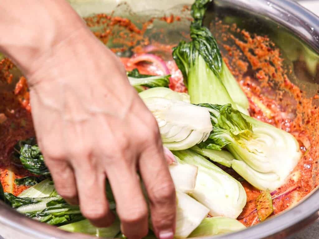 BEST Baby Bok Choy Kimchi Recipe - Easy & Delicious 42 A hand mixing halved bok choy and other vegetables in a large metal bowl with red seasoning, preparing fresh bok choy kimchi.