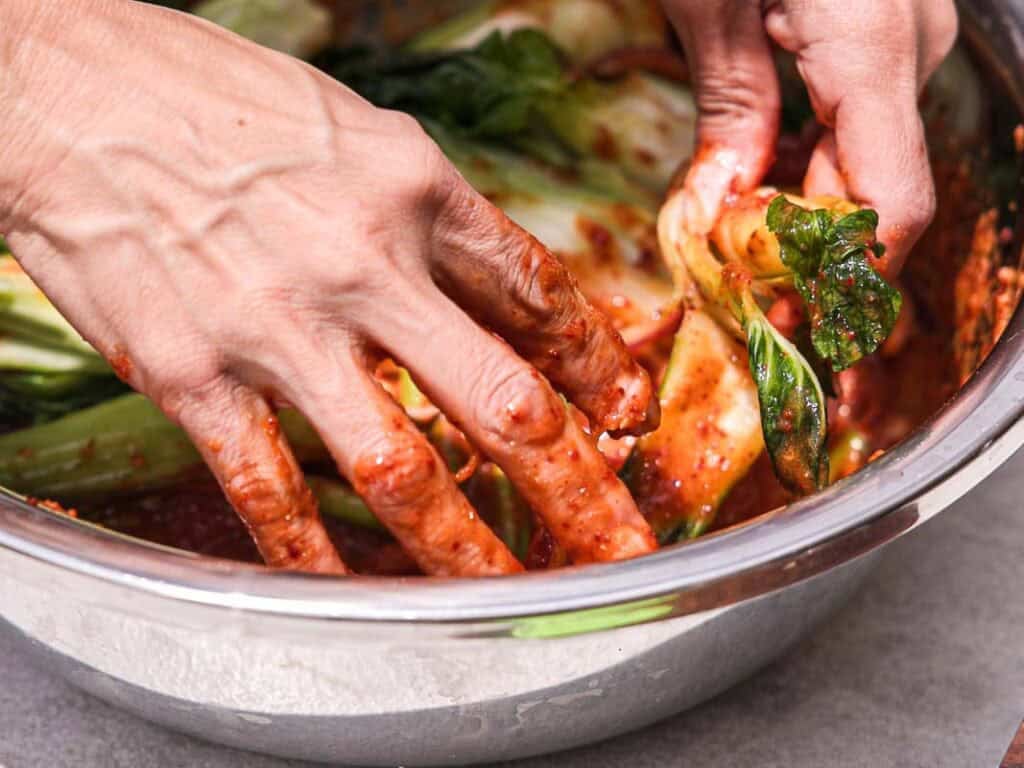 BEST Baby Bok Choy Kimchi Recipe - Easy & Delicious 43 Hands mixing napa cabbage and bok choy with red chili paste in a large metal bowl, preparing vibrant kimchi.